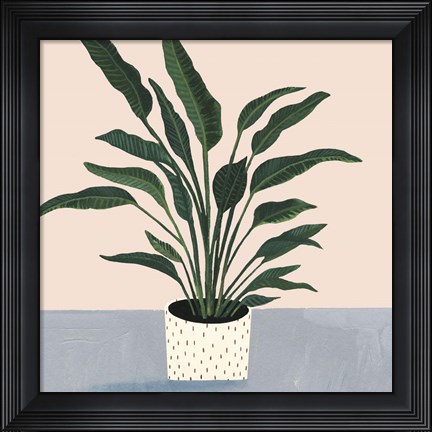 Framed Houseplant IV Print