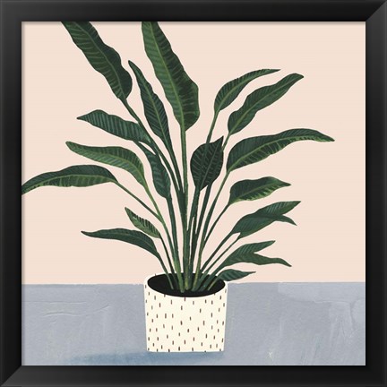 Framed Houseplant IV Print