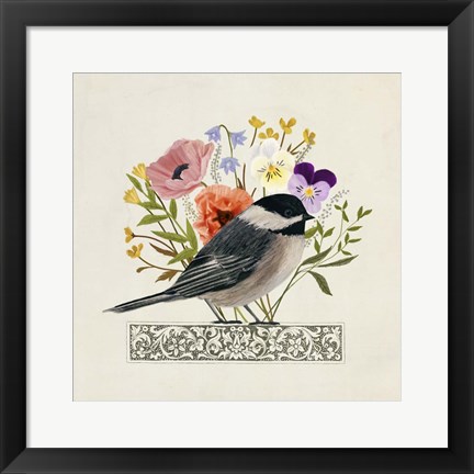 Framed Avian Collage II Print