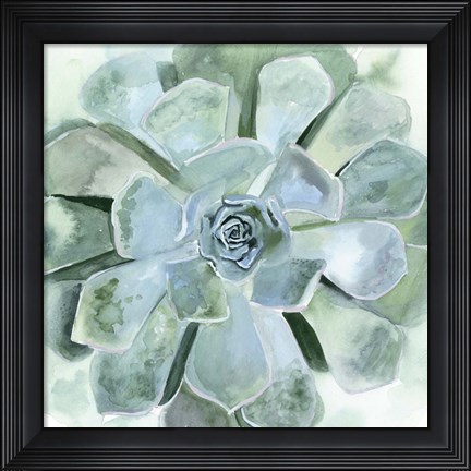 Framed Verdant Succulent III Print