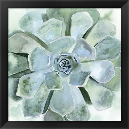 Framed Verdant Succulent III Print