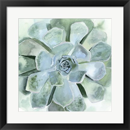 Framed Verdant Succulent III Print