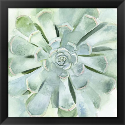 Framed Verdant Succulent IV Print