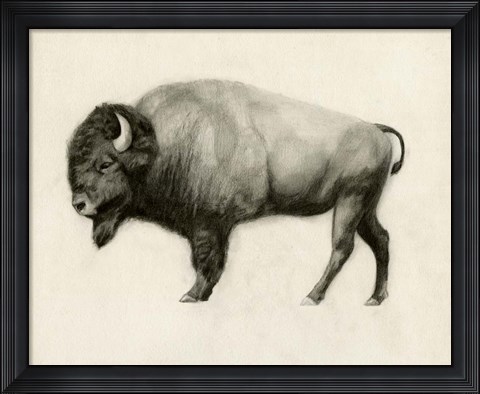 Framed High Plains II Print