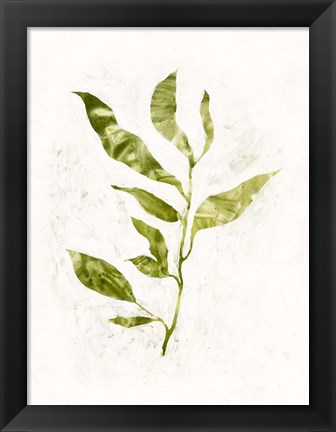 Framed Sapling I Print