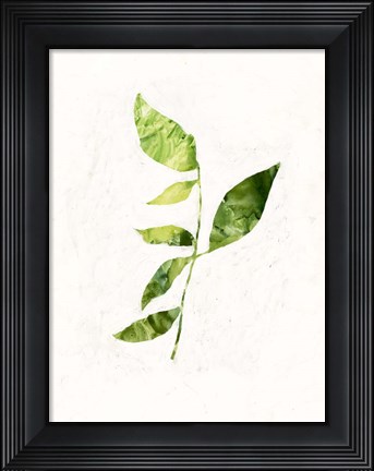 Framed Sapling III Print