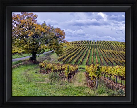 Framed Pastoral Countryside I Print