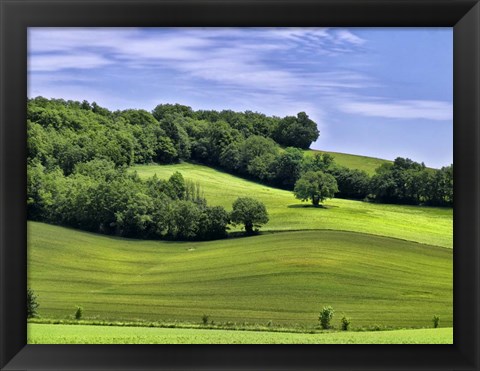 Framed Pastoral Countryside II Print