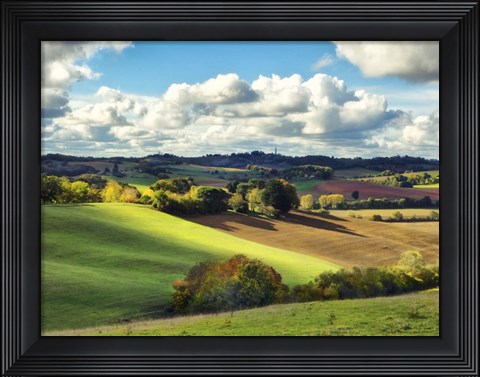 Framed Pastoral Countryside III Print