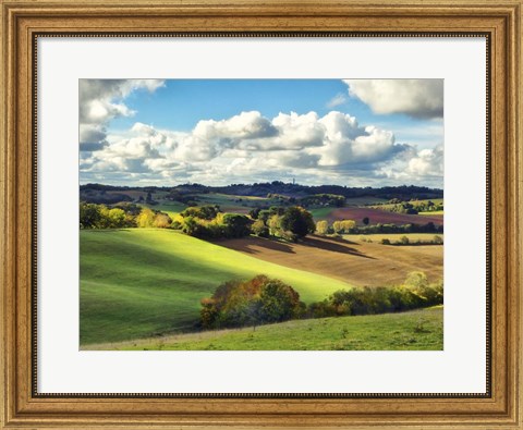 Framed Pastoral Countryside III Print