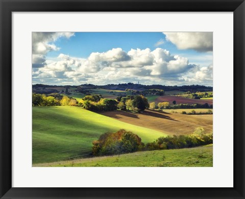 Framed Pastoral Countryside III Print