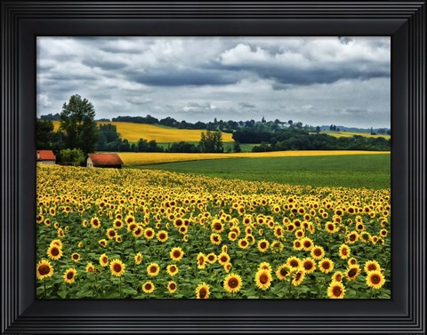 Framed Pastoral Countryside IV Print