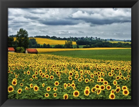 Framed Pastoral Countryside IV Print