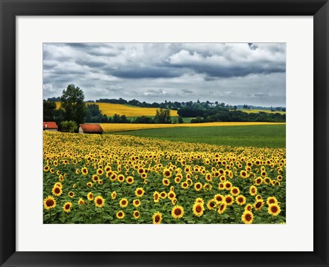 Framed Pastoral Countryside IV Print