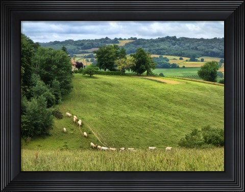 Framed Pastoral Countryside V Print