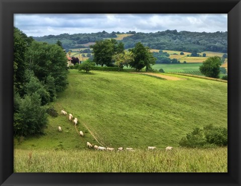 Framed Pastoral Countryside V Print