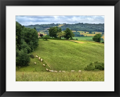 Framed Pastoral Countryside V Print