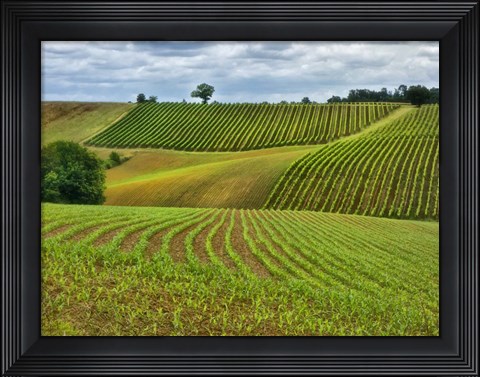 Framed Pastoral Countryside VI Print