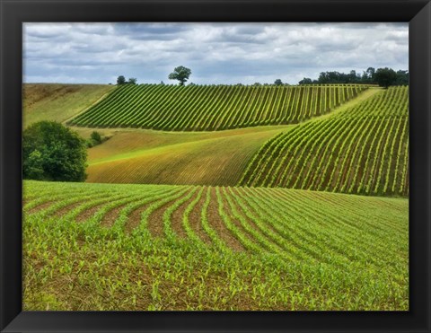 Framed Pastoral Countryside VI Print