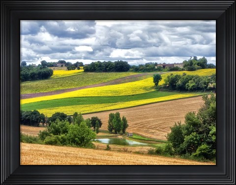 Framed Pastoral Countryside VIII Print