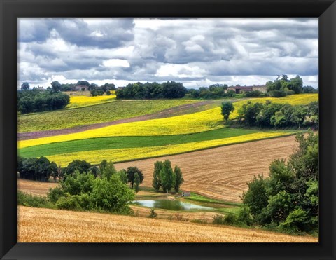 Framed Pastoral Countryside VIII Print