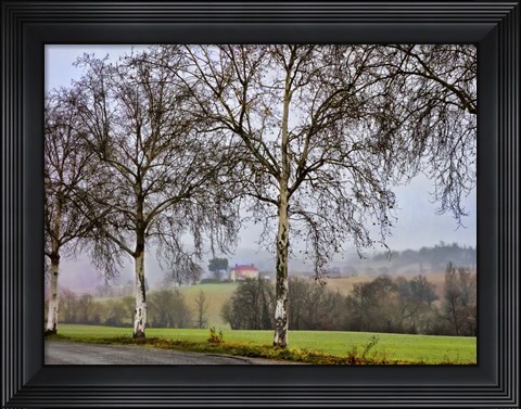 Framed Pastoral Countryside XI Print