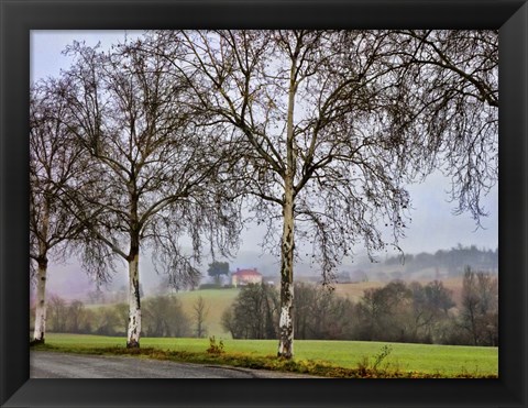 Framed Pastoral Countryside XI Print