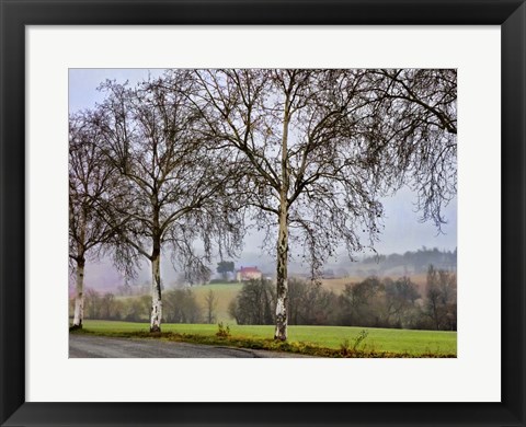 Framed Pastoral Countryside XI Print
