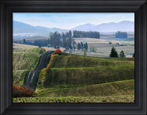 Framed Pastoral Countryside XIII Print