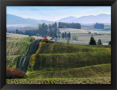 Framed Pastoral Countryside XIII Print