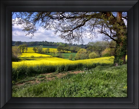 Framed Pastoral Countryside XIV Print