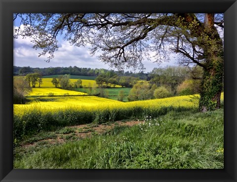 Framed Pastoral Countryside XIV Print