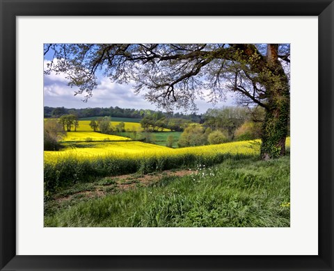 Framed Pastoral Countryside XIV Print
