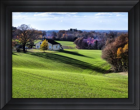 Framed Pastoral Countryside XV Print