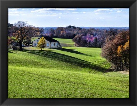 Framed Pastoral Countryside XV Print