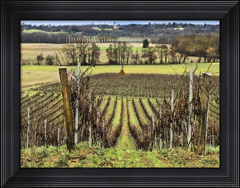 Framed Pastoral Countryside XVI Print