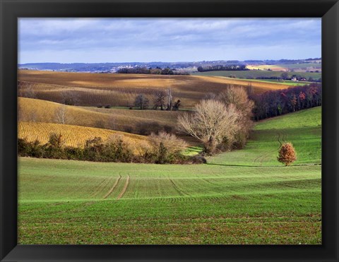 Framed Pastoral Countryside XVII Print