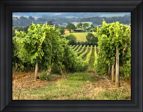 Framed Pastoral Countryside XIX Print
