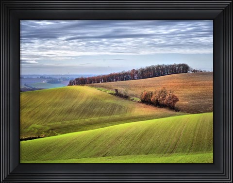 Framed Pastoral Countryside XX Print