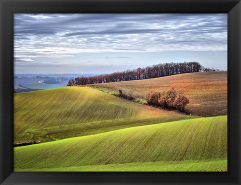 Framed Pastoral Countryside XX Print