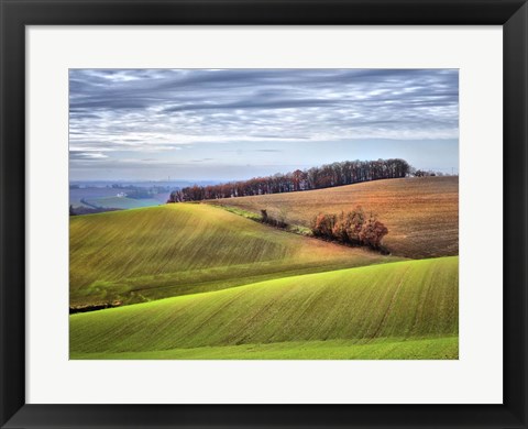 Framed Pastoral Countryside XX Print