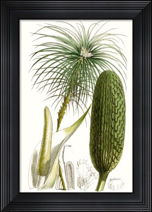 Framed Curtis Palms IV Print