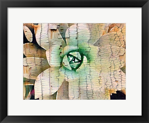 Framed Succulent on Wood Print