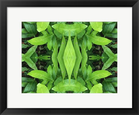 Framed Natural Pattern 46 Print