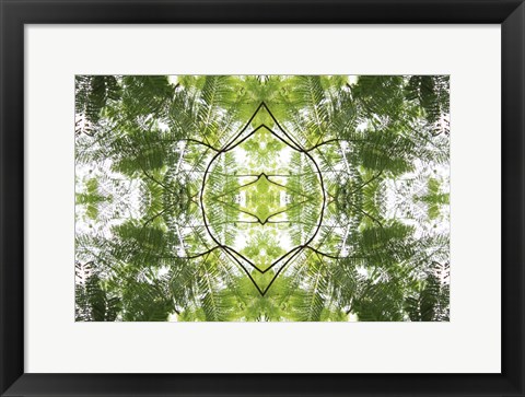Framed Natural Pattern 60 Print