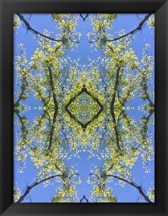 Framed Natural Pattern 74 Print