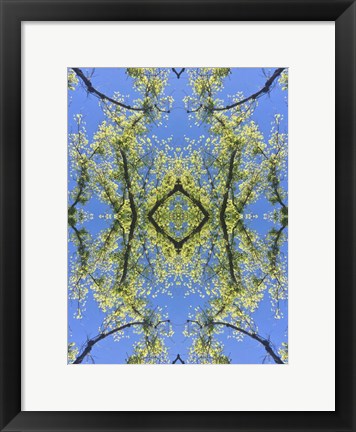 Framed Natural Pattern 74 Print