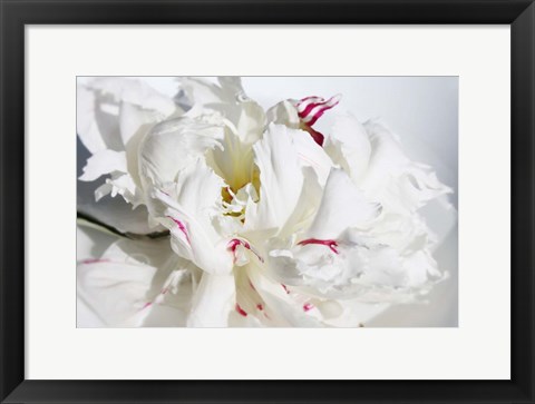 Framed Breathless 11 Print