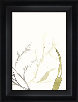 Framed Under Sea Forest II Print