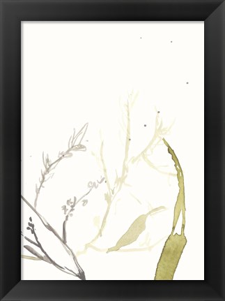Framed Under Sea Forest II Print
